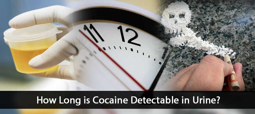 How Long is Cocaine Detectable in Urine?