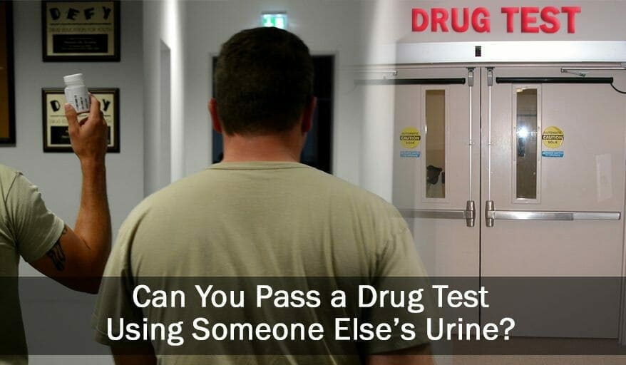 Is It Possible to Use Someone Else’s Urine For a Drug Test?