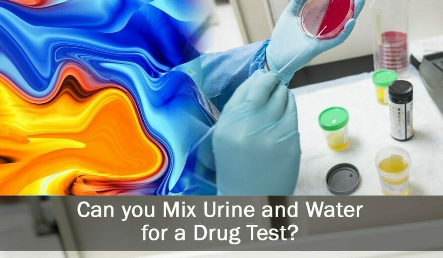 Can You Mix Your Urine With Water For a Drug Test?