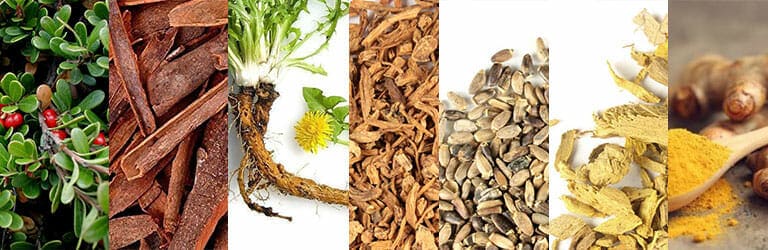 Ingredients In Stat Flush
