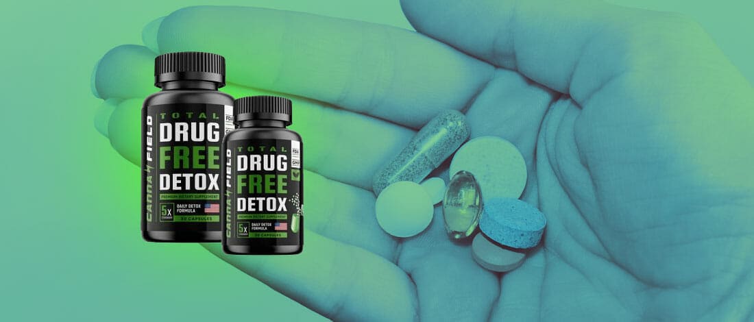 Cannafield Detox Review