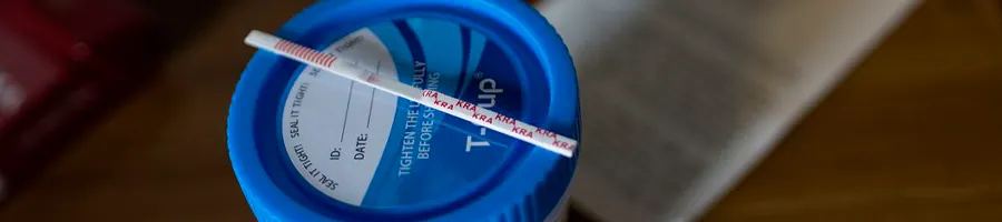 Top view of a drug test cup