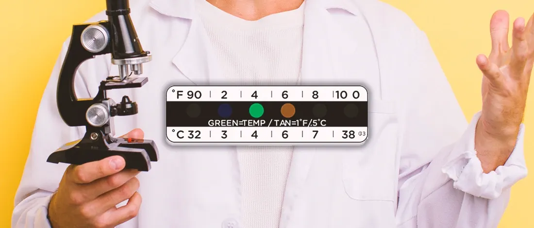 How to Read a Temperature Strip on a Drug Test? (2 Methods)