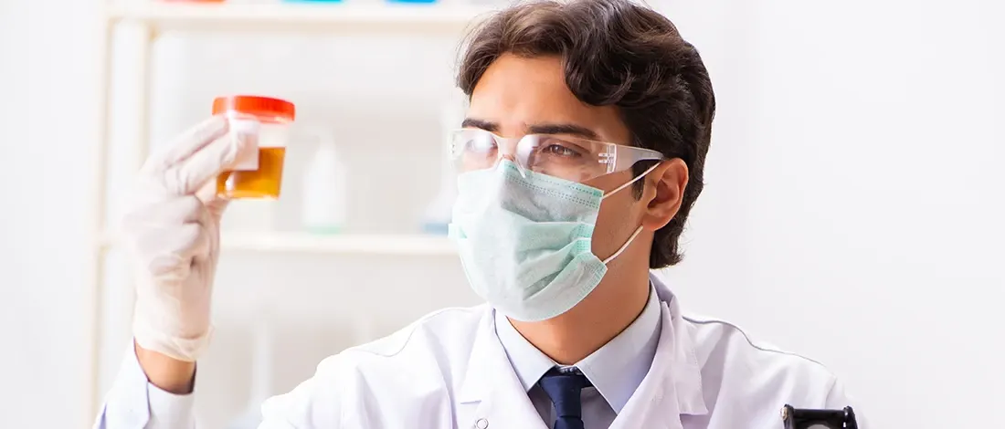 Does Synthetic Urine Work For eScreen? (What to Expect)