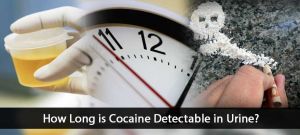 How Long is Cocaine Detectable in Urine? How Long is Cocaine Detectable Cover Image