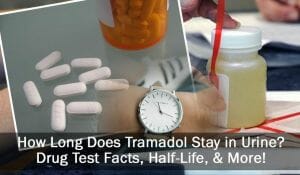 How Long Does Tramadol Stay in Urine? tramadol and urine test