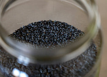 Foods to avoid before a urine drug test: a jar full of poppy seeds