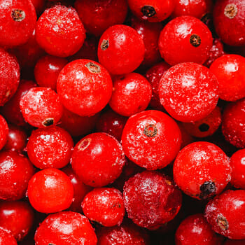 Close up image of cranberries