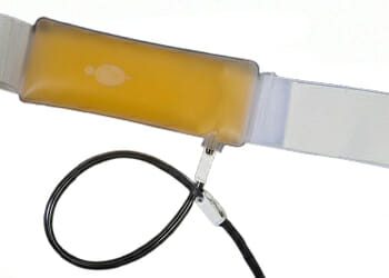 A synthetic urine belt with a synthetic urine