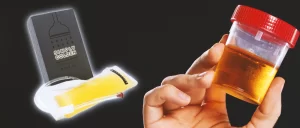 Simply Golden Urine Kit